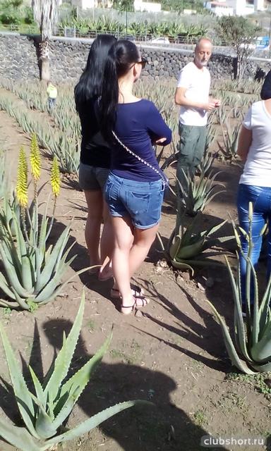 30767_img_20160203_112635.jpg